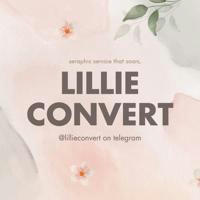 lillie convert ♡