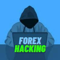 Leaked Forex Signals | توصيات فوركس مسربة