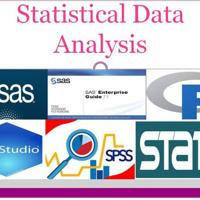 Eastern Ethiopian Research and statistical Software analysis association 🧬💰🩺💊 🌍👨‍👩‍👧
