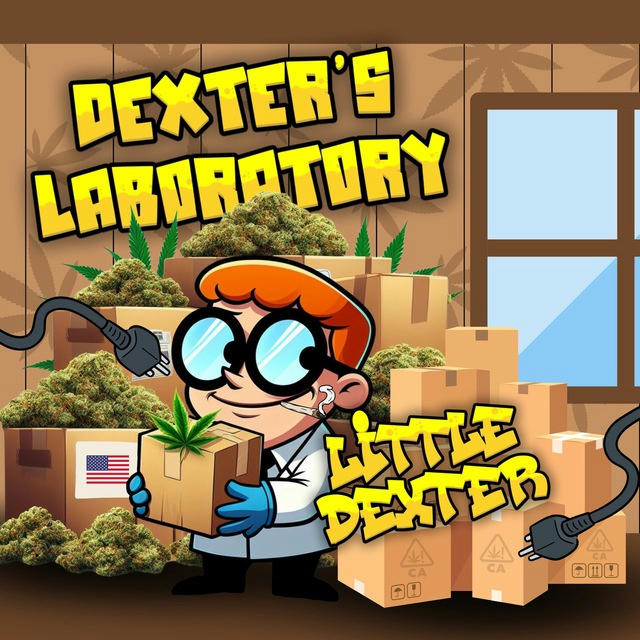 Dexter’s laboratory