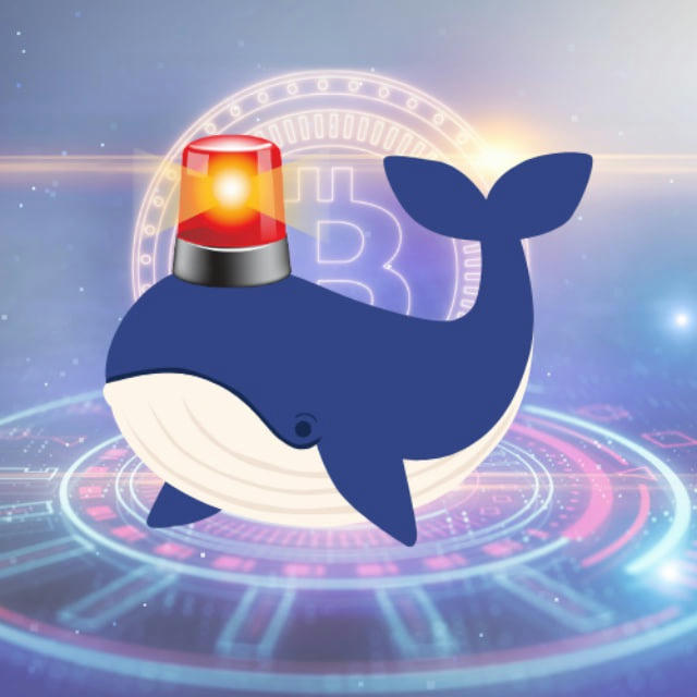 🐳 Whale Alert