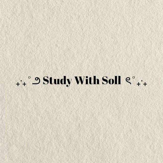₊‧₊˚౨ Study With Ssoll ৎ˚₊‧₊