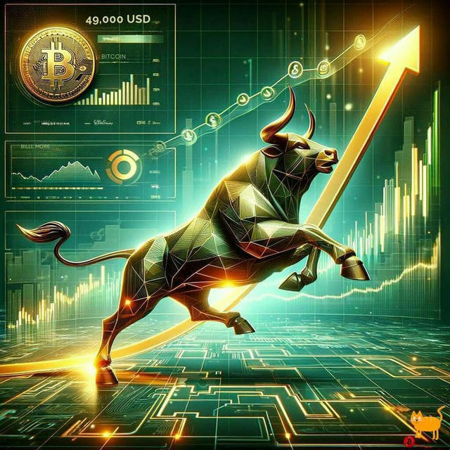 💨 Crypto Bulls 💥 Pro Team ️🌪