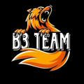 B3 | team