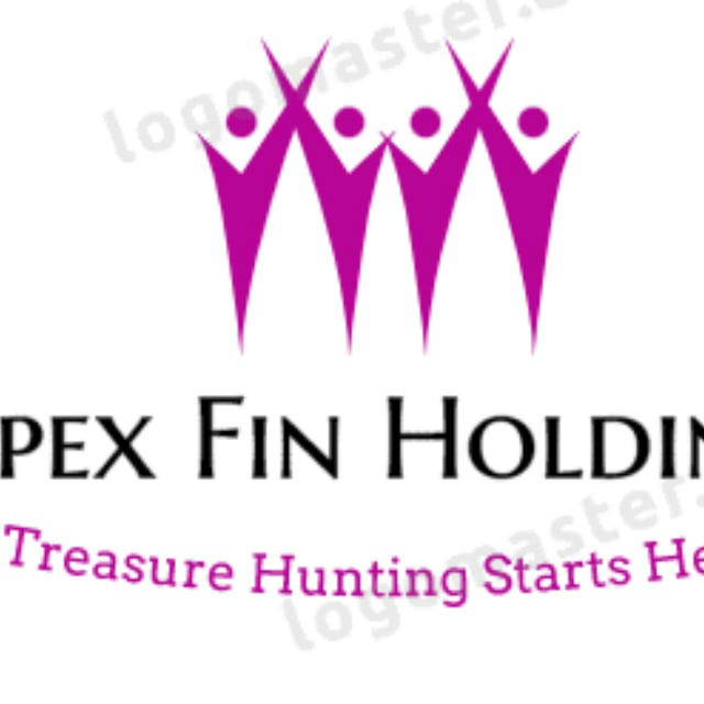 APEX FIN HOLDINGS