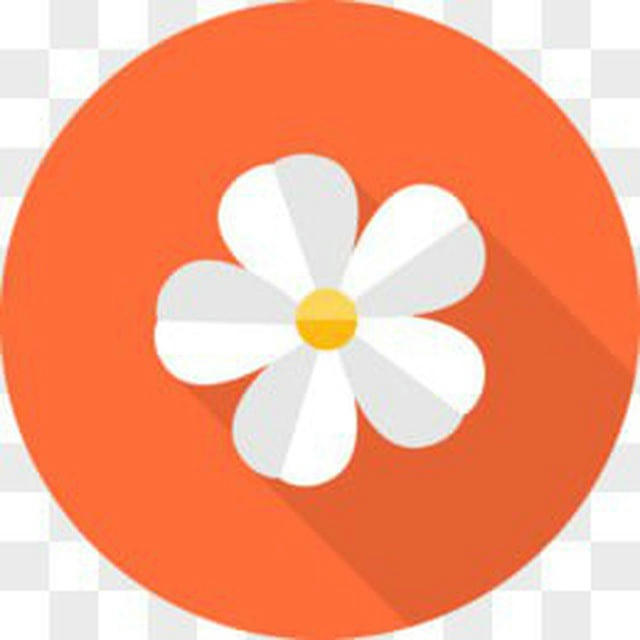 花花免费全球综合机器人 通知频道