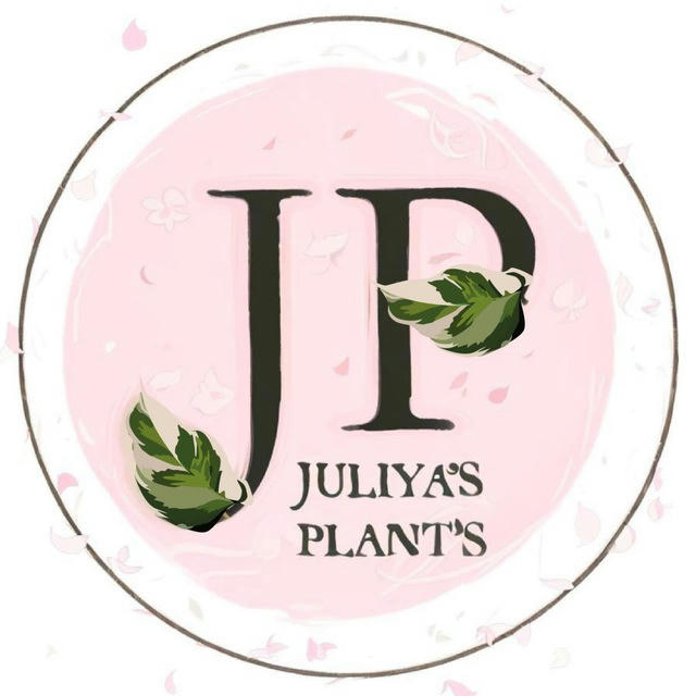 Juliya’s Plant’s 🌿