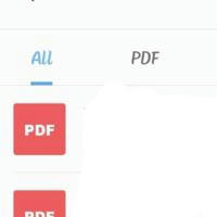 Only pdf's