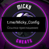 MICKY_CONFIG