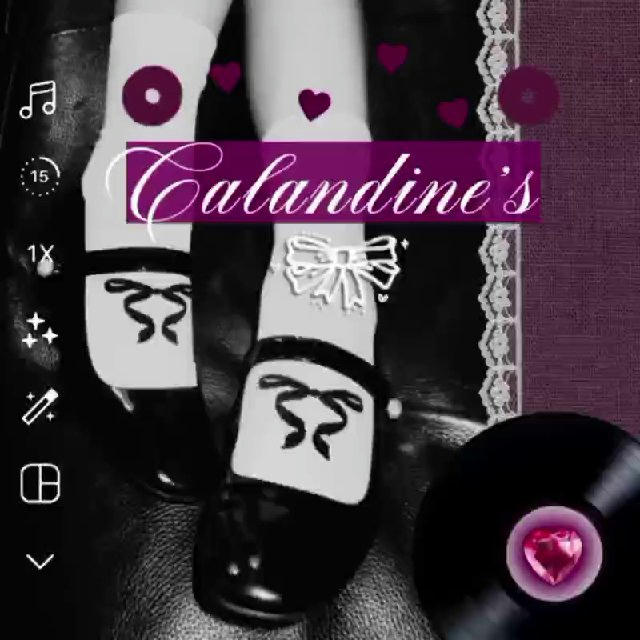 𓂃 ࣪ ִִֶ calandine \ \ 🐈‍⬛ *on hiatus