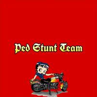 Red Stunt Team (Live)
