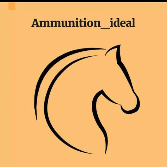 Ammunition_ideal💛