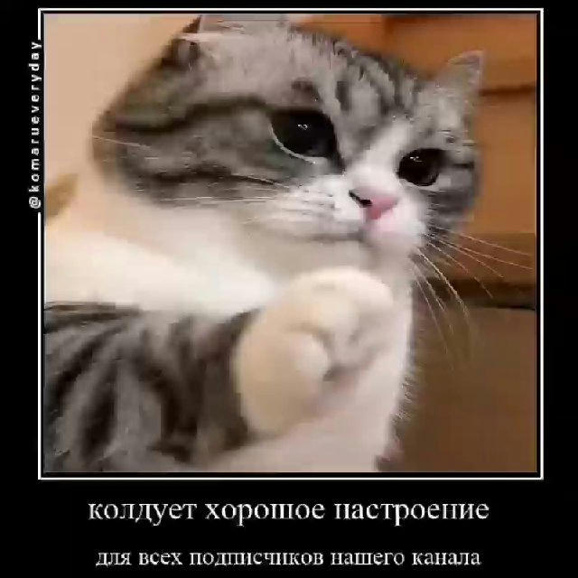 Паблик коттега вход