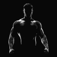 Fitness | دوره بدنسازی