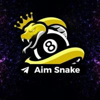 Snake aim tool updates