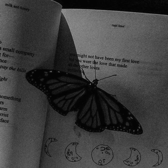 •검은 나비•