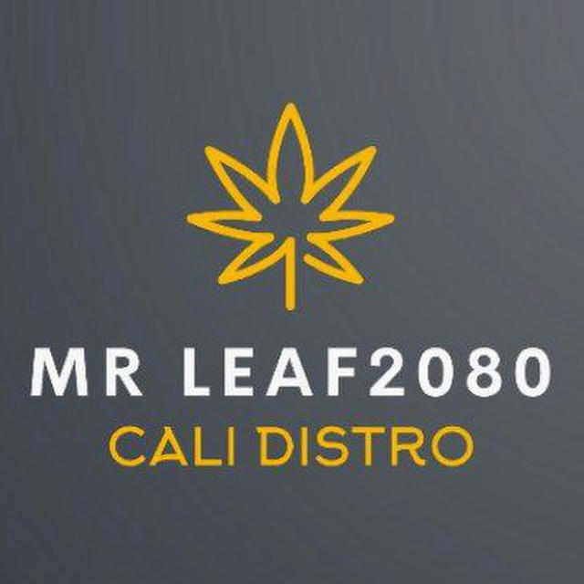 Mr Leaf2080