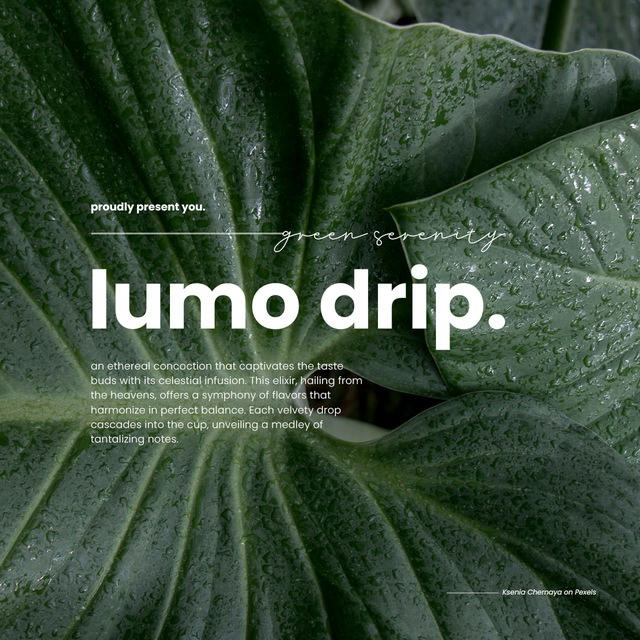 🍃 lumo drip : ordal