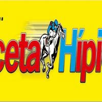 Gaceta Hípica