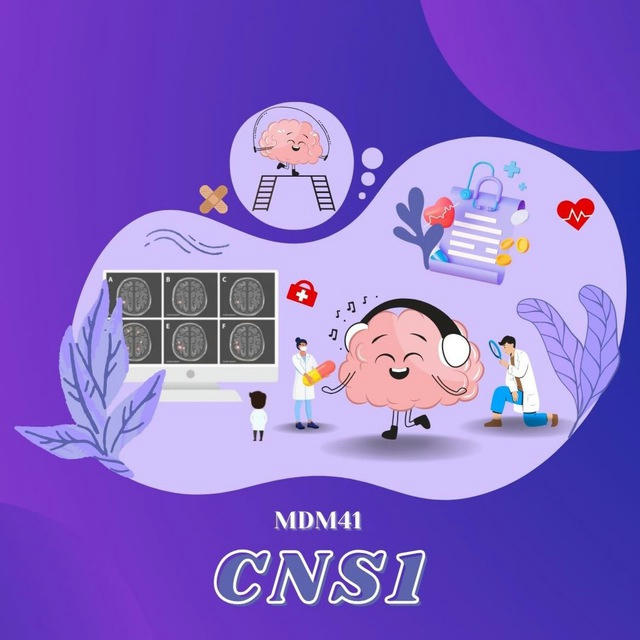 MDM41 | CNS 1