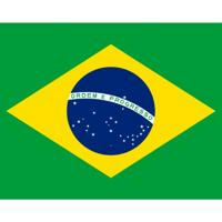 巴西色粉,巴西数据,巴西谷歌推广
