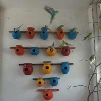 کانال دیوار پرنده هرات