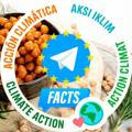 Facts about the vegan diet, animal protection / welfare and die militante Veganerin on Telegram