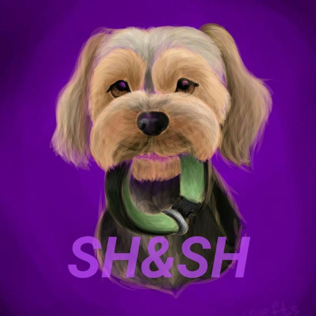 SHERRY SHOP | Амуниция для собак
