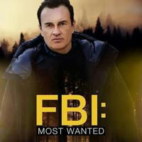 🇫🇷 FBI MOST WANTED VF FRENCH SAISON 4 3 2 1 Intégrale