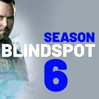 🇫🇷 BLINDSPOT VF FRENCH SAISON 6 5 4 3 2 1 intégrale