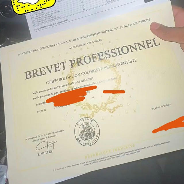 BREVET PROFESSIONEL & DOCUMENT OFFICIEL