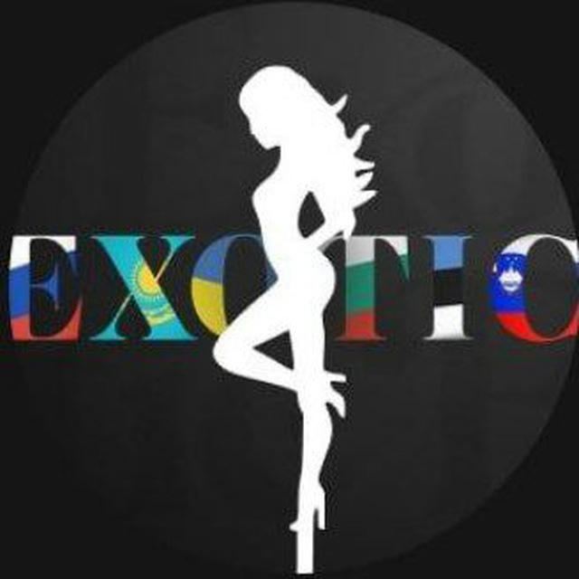 🏆 VIP Exotic 🏆