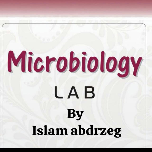 Microbiology Laboratory with Islam 🔬