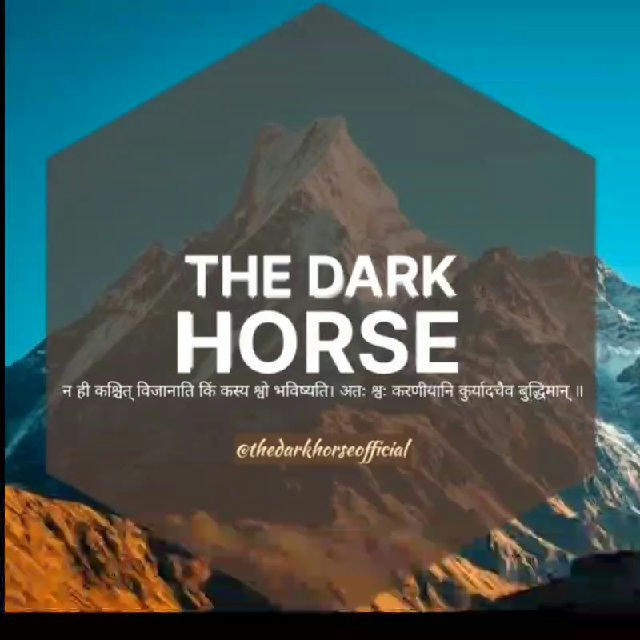 THE DARK HORSE 📖