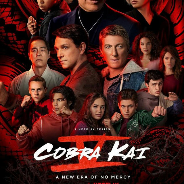 cobra Kai saison 6 francais 🇫🇷