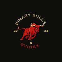 BINARY BULL'S