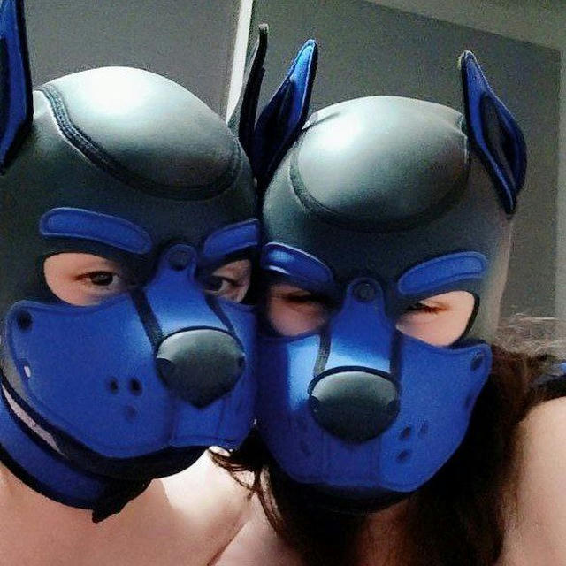 Royal Blue Pups 🐾🐶