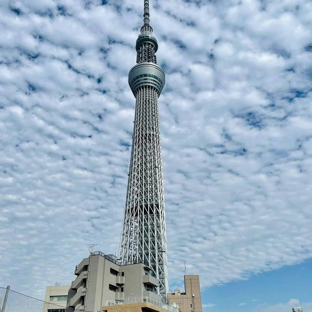 【日本素材】旅游/生活/美食套图全选/朋友圈装饰/高清大图精选