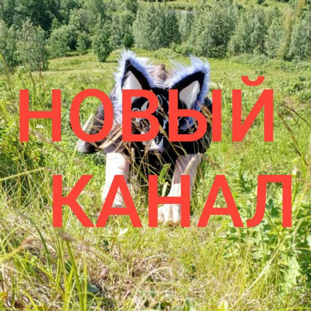 НОВЫЙ КАНАЛ https://t.me/buba_anuba