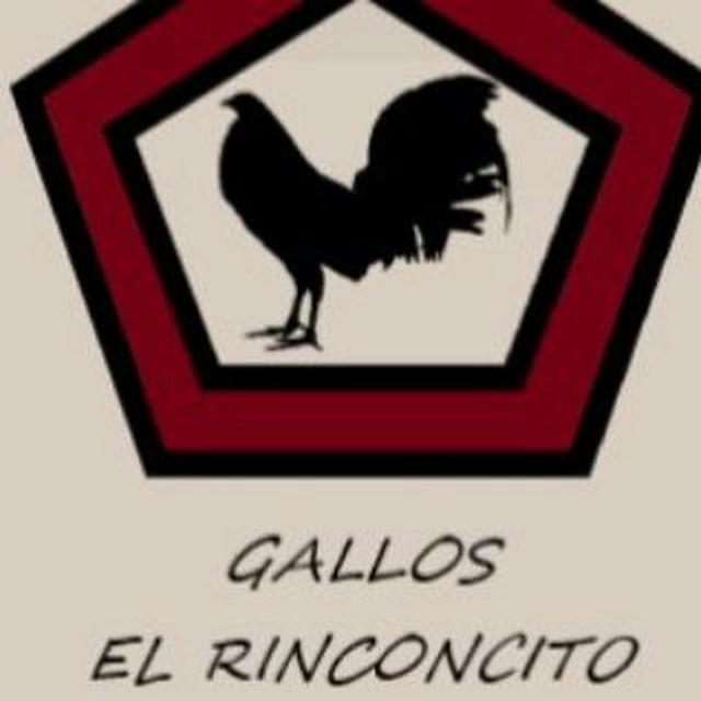 El rinconcito gallos👍