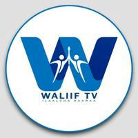 Waliif Television