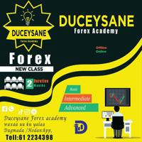 Duceysane forex academy