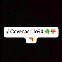 Covecasrillo90 🍀🍄🔫