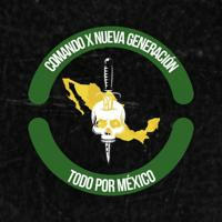 Ejército Mexicano de liberación nacional