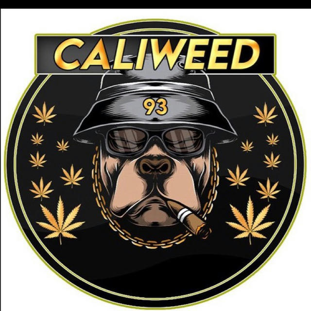 TEAM CALI 93