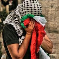 فلسطين الحبيبة 🇵🇸❤️‍🩹