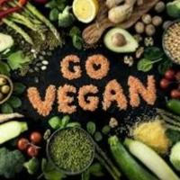 Tierleidfrei leben, vegane Ernährung, Lebensmittel, tierleidfreie Rezepte und sonstige tierleidfreie Produkte