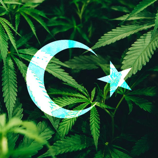 Türkiye Marijuana Esrar İstanbul Kenevir Ankara