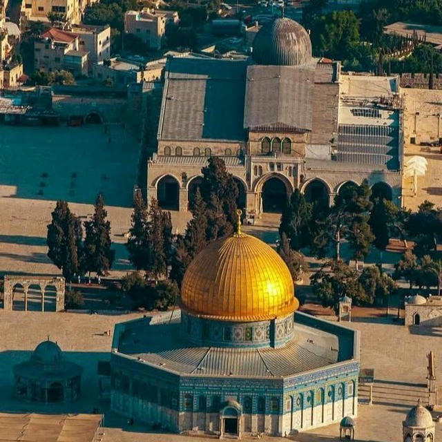 فلسطين Palestine 🇵🇸