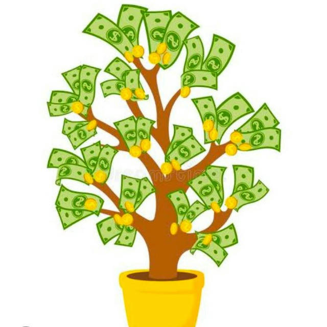 Money Plant 💰